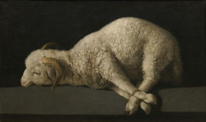 Passover Lamb